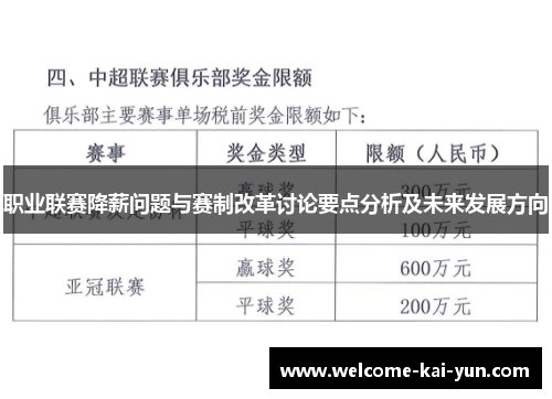 职业联赛降薪问题与赛制改革讨论要点分析及未来发展方向