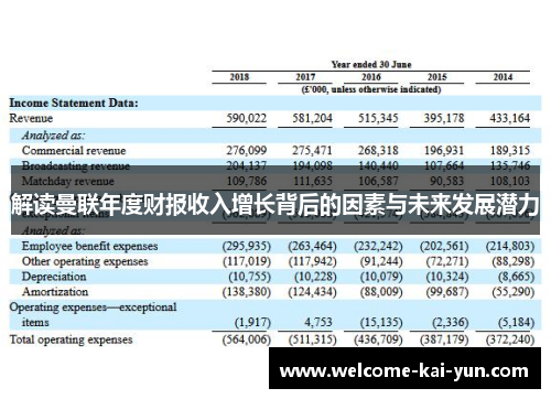 解读曼联年度财报收入增长背后的因素与未来发展潜力