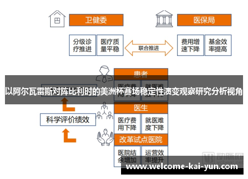 以阿尔瓦雷斯对阵比利时的美洲杯赛场稳定性演变观察研究分析视角