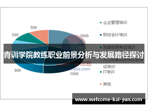 青训学院教练职业前景分析与发展路径探讨